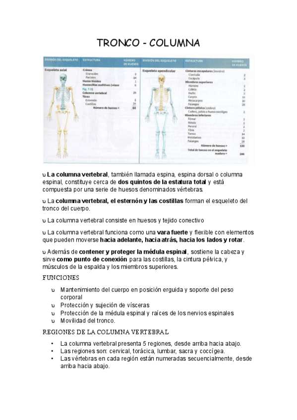 Miniatura del documento TRONCO-COLUMNA.pdf
