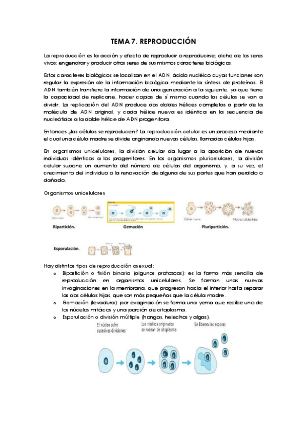 Miniatura del documento EL-MEDIO-NATURAL-Y-SU-DIDACTICA-TEMA-7.pdf