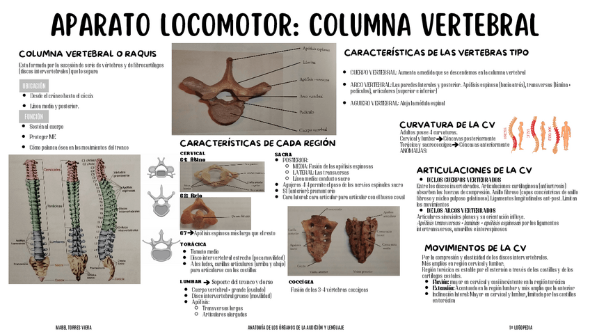 Miniatura del documento ESQUEMASANATOMIAAPARATO-LOCOMOTOR.pdf