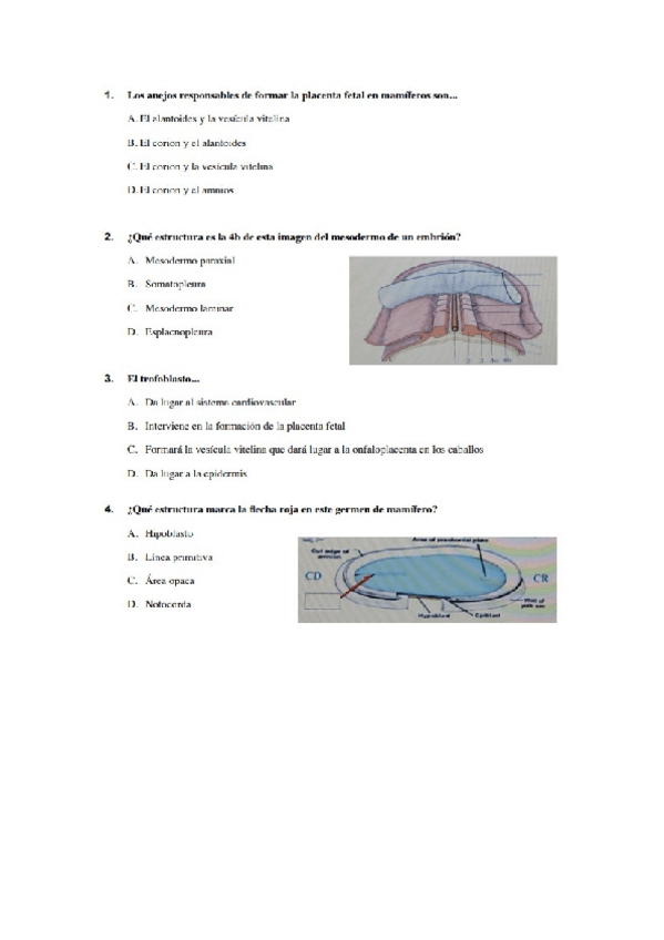 Miniatura del documento Examen-Embriologia.pdf