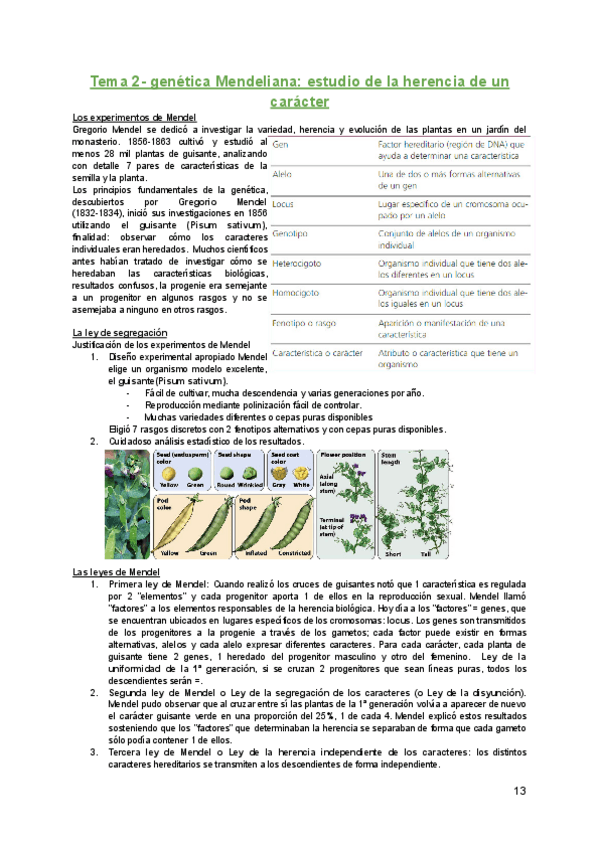 Miniatura del documento Genetica-T-2.pdf