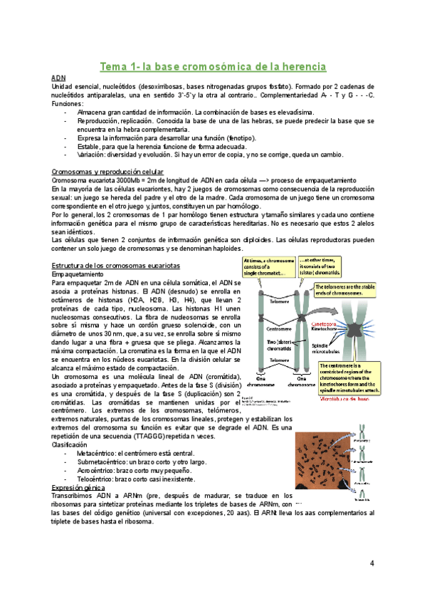 Miniatura del documento Genetica-T-1.pdf