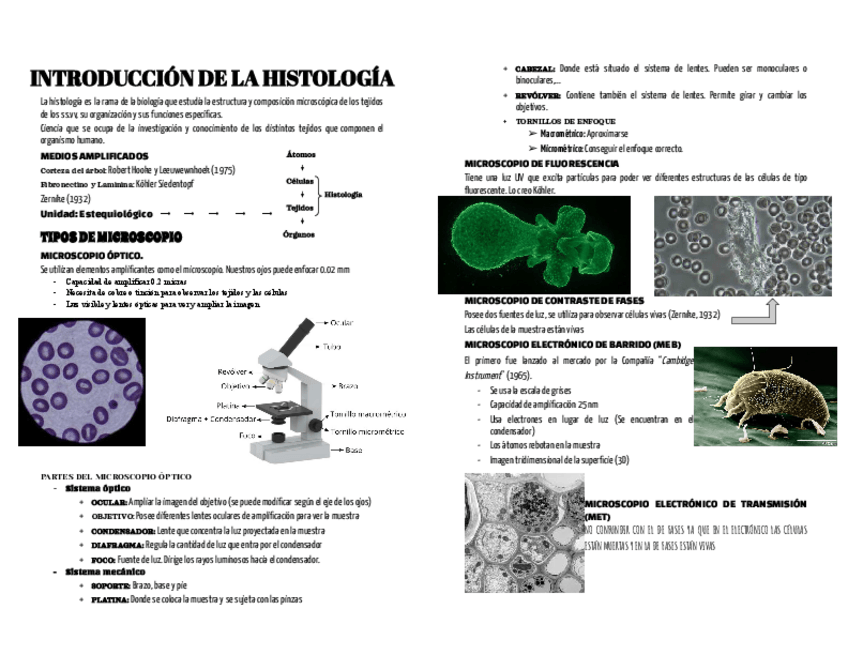 Miniatura del documento RESUMENHISTOLOGIAcompleta.pdf