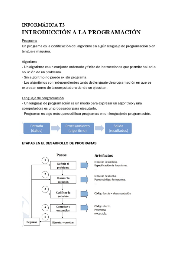 Miniatura del documento TEORIA.-Introduccion-a-la-Programacion.pdf