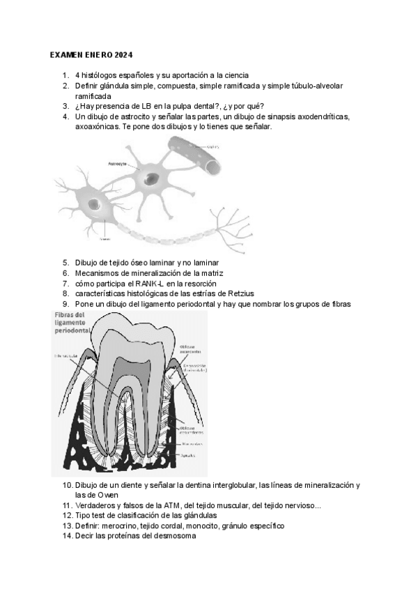 Miniatura del documento examen-histologia-2024.pdf