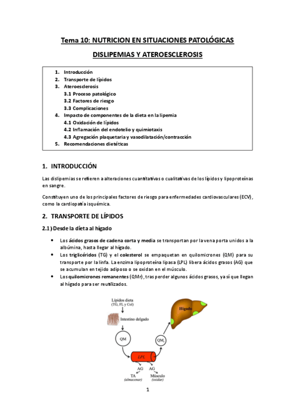 Miniatura del documento TEMA-10.-Nutricion-en-situaciones-patologicas.-Dislipemias-y-ateroesclerosis.pdf