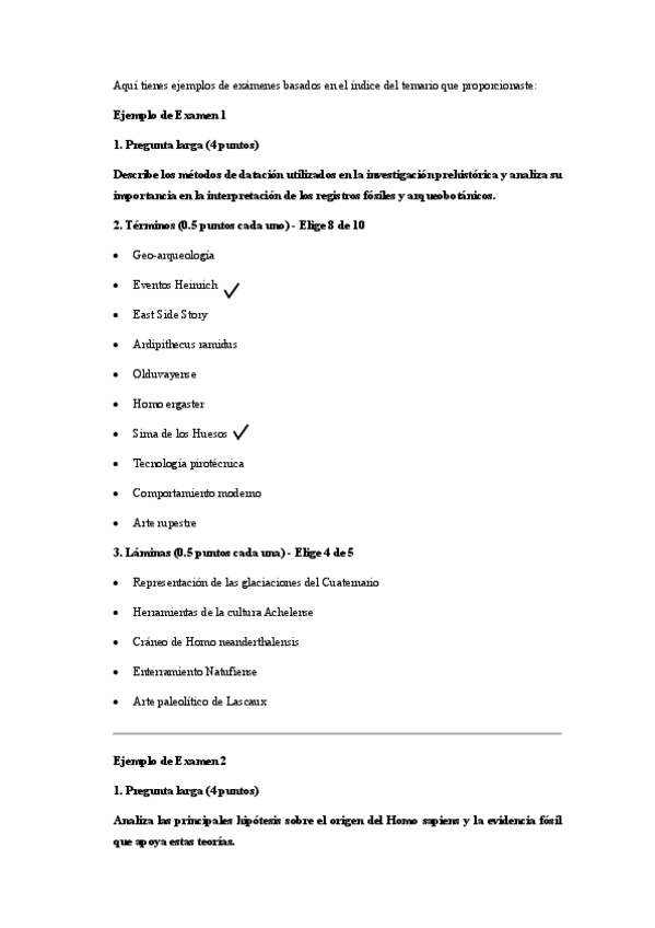 Miniatura del documento Ejemplo-de-ExamenChat-GPT.pdf