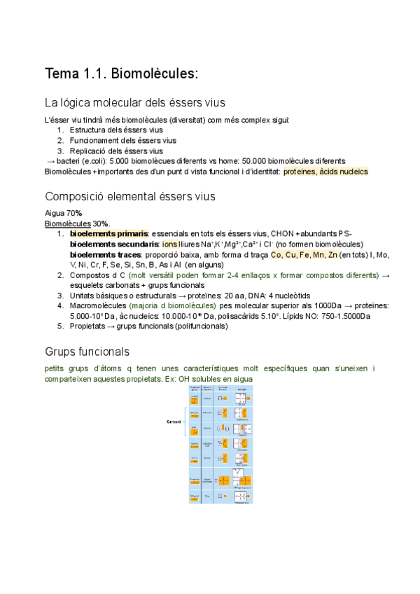 Miniatura del documento U-1.1.-BFO.pdf