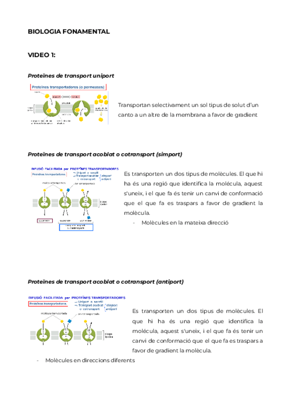 Miniatura del documento Activitat-1411-BFO-i-TCI.pdf
