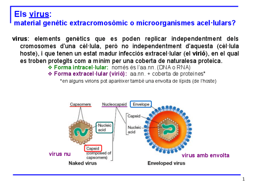 Miniatura del documento 10.-Reproduccio-i-transmissio-genetica-procariotes2021segona-part.pdf