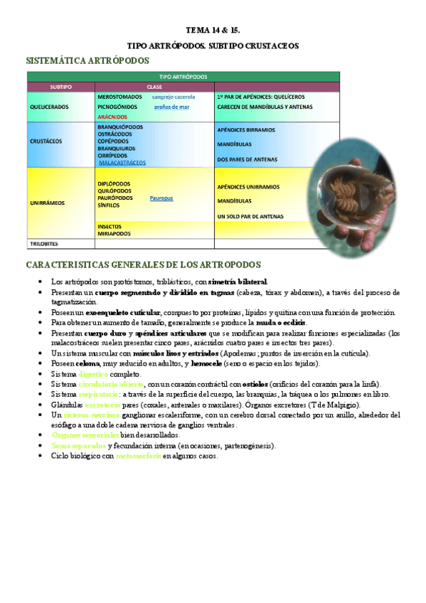 Miniatura del documento TEMA-14-and-15.-TIPO-ARTROPODOS.-SUBTIPO-CRUSTACEOS.pdf