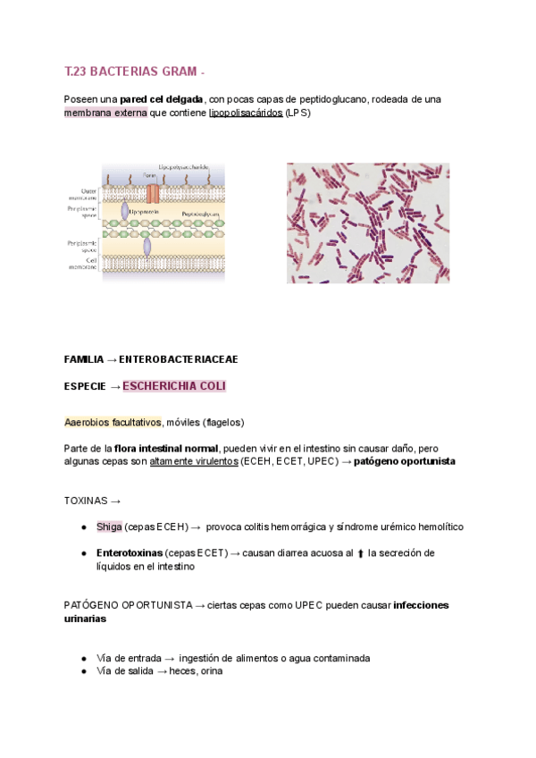 Miniatura del documento T.23-BIOLOGIA.pdf