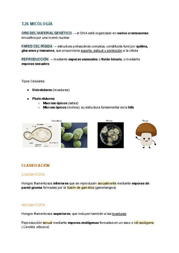 Miniatura del documento T.26-BIOLOGIA.pdf