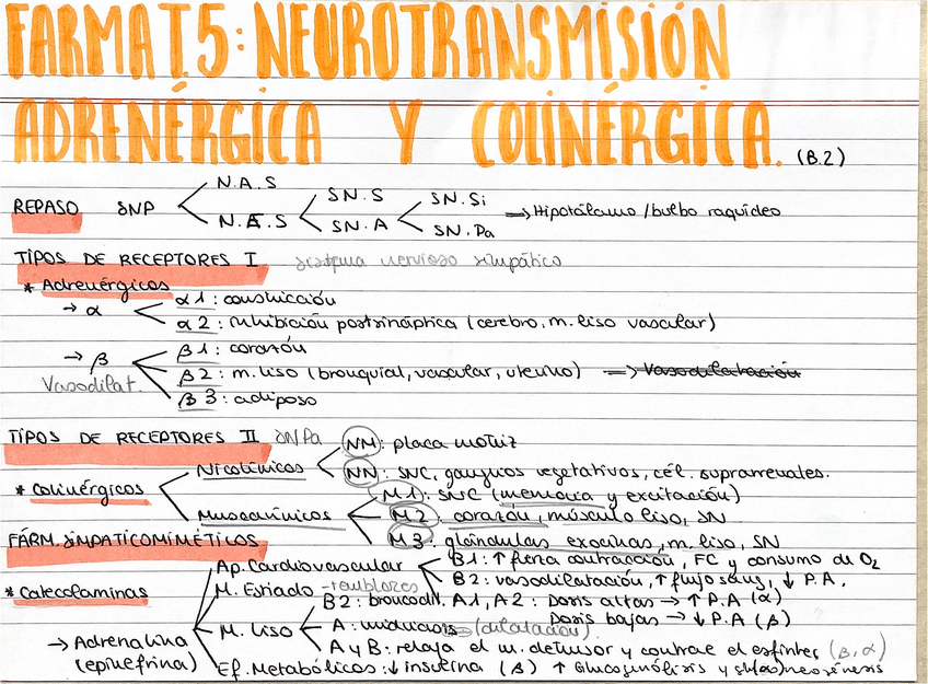 Miniatura del documento Resumenes-bloque-II-2.pdf
