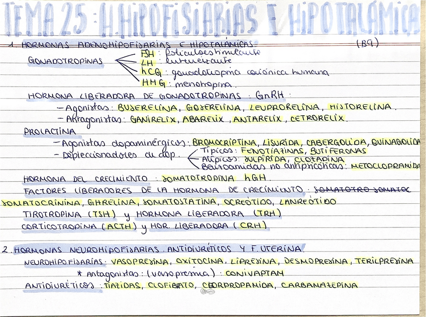 Miniatura del documento Resumenes-bloque-IX.pdf