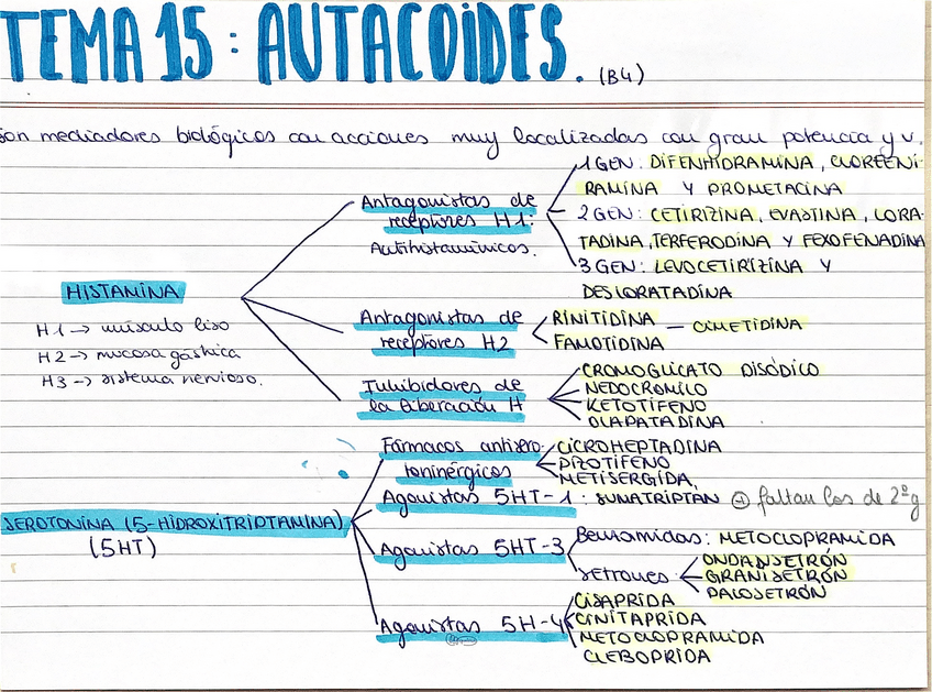 Miniatura del documento Resumenes-bloque-IV.pdf