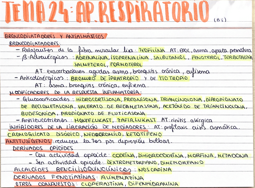 Miniatura del documento Resumenes-bloque-VIII.pdf