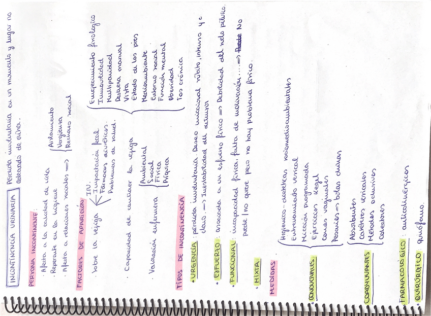 Miniatura del documento Resumen-Incontinencia-Urinaria.pdf