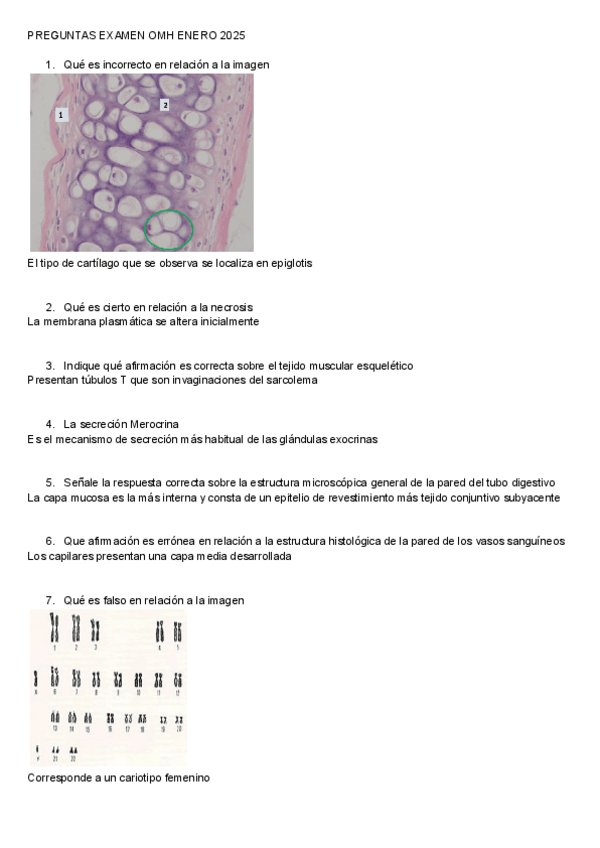 Miniatura del documento PREGUNTAS-EXAMEN-OMH-2025.pdf