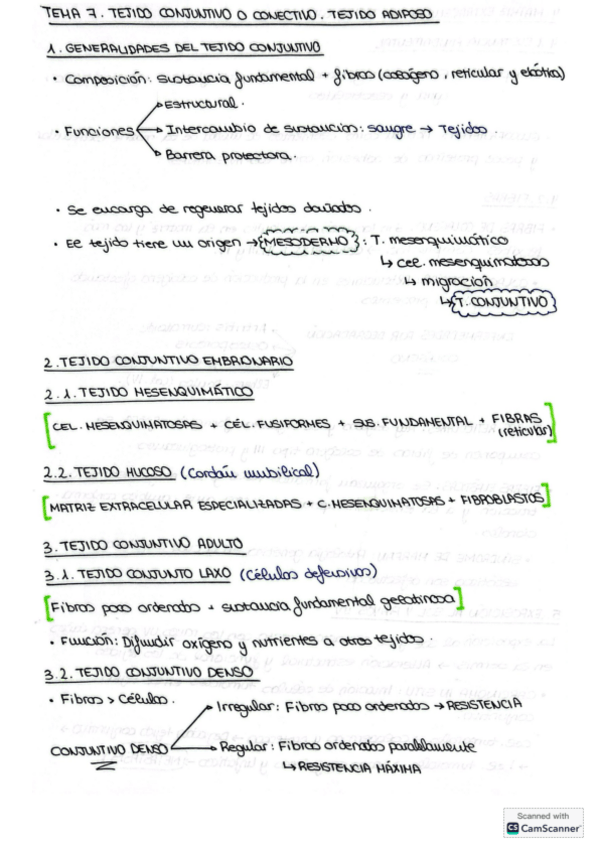 Miniatura del documento Tema-7.-Tejido-conjuntivo-o-conectivo.-T.pdf