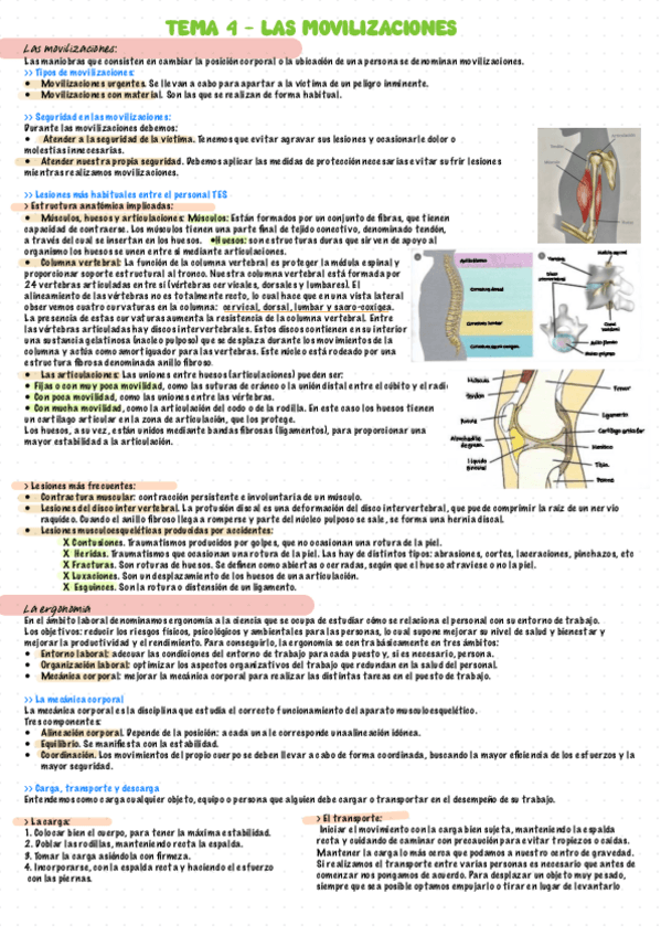Miniatura del documento EVACUACION-Y-TRASLADO-tema-4.pdf