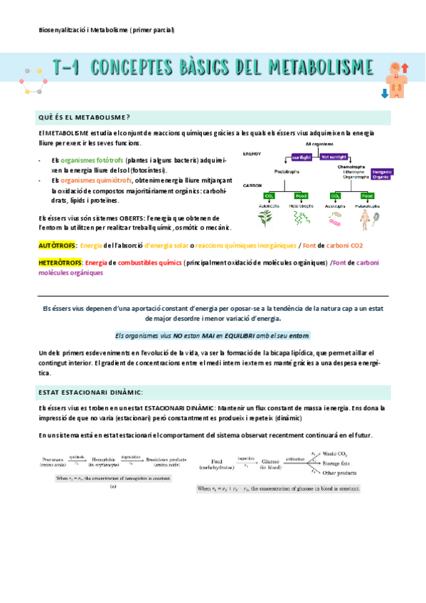 Miniatura del documento BSM-1r-parcial-t-1.pdf