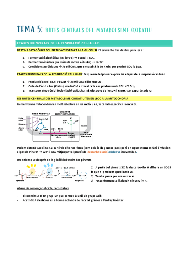 Miniatura del documento BSM-1r-parcial-t-5.pdf