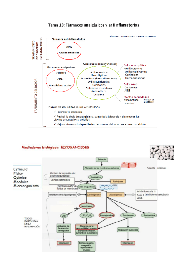 Miniatura del documento Tema 18. Analgésicos y antiinflamatorios.pdf