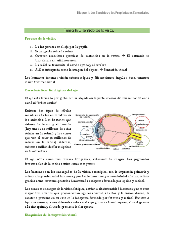 Miniatura del documento AISA (SENSORIAL) BLOQUE II TEMA 3.pdf