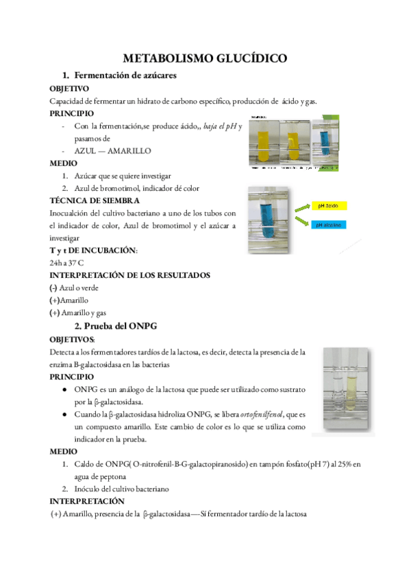 Miniatura del documento Seminario-microbiologia.pdf