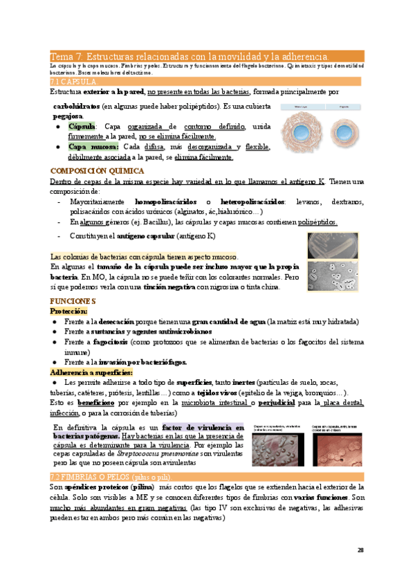 Miniatura del documento MIC1-Tema-7.pdf