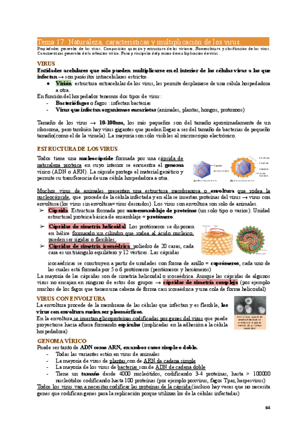 Miniatura del documento MIC1-Tema17.pdf
