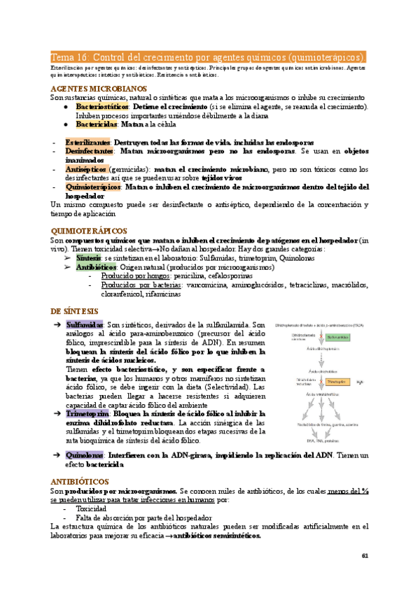 Miniatura del documento MIC1-Tema16.pdf