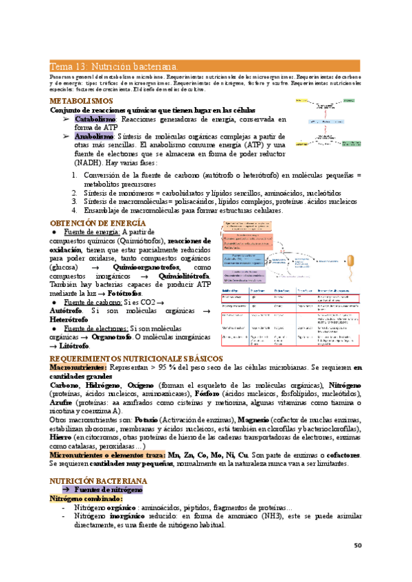 Miniatura del documento MIC1-Tema13.pdf