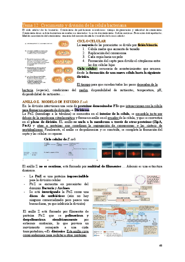 Miniatura del documento MIC1-Tema12.pdf