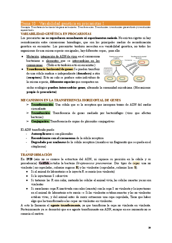 Miniatura del documento MIC1-Tema10.pdf