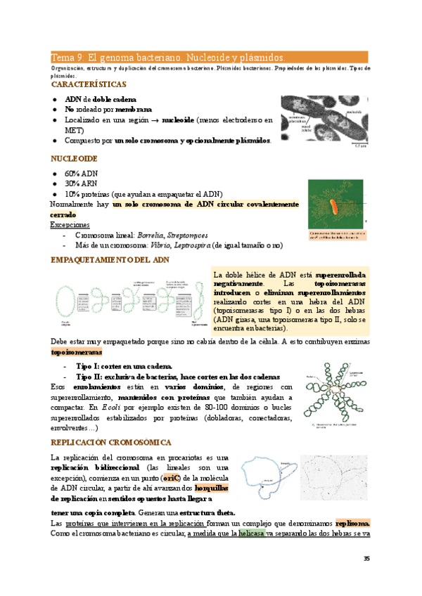 Miniatura del documento MIC1-Tema9.pdf
