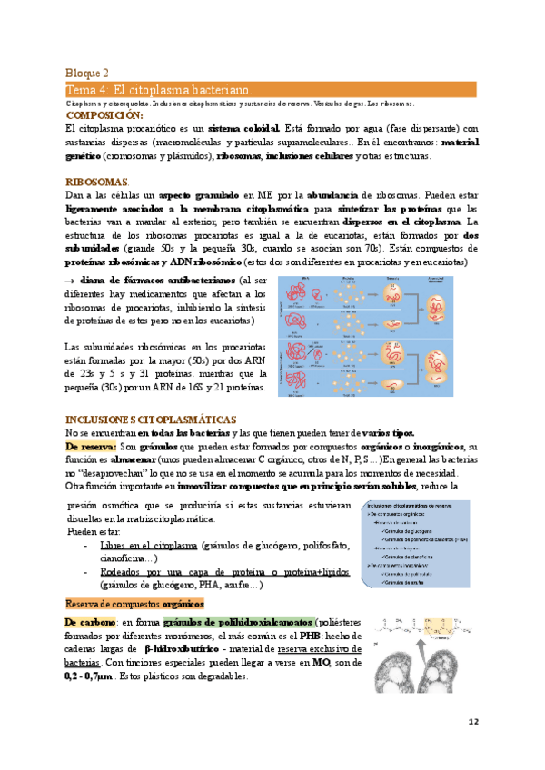 Miniatura del documento MIC1-Tema4.pdf
