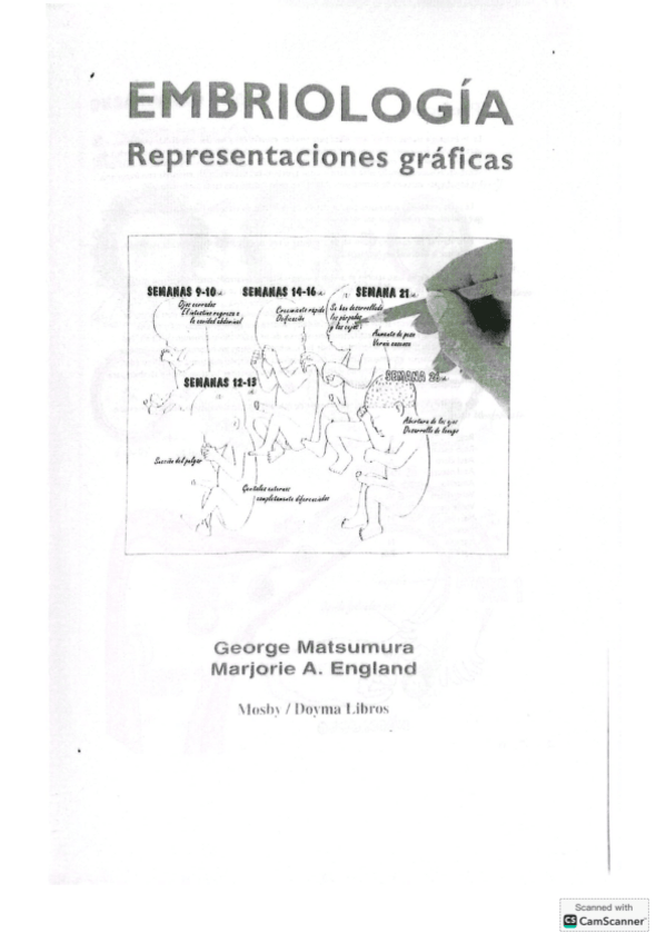 Miniatura del documento Cuaderno-de-Laminas-Matsumura-3.pdf