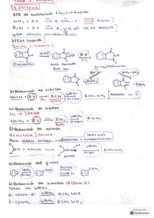 Miniatura del documento Tema-4-organica.pdf