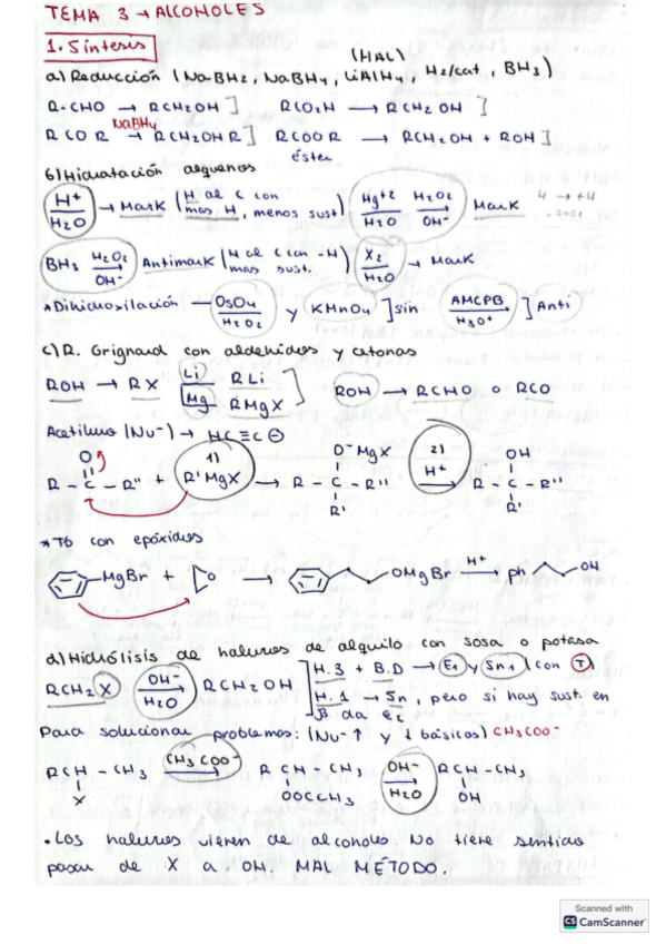 Miniatura del documento TEMA-3-Organica.pdf