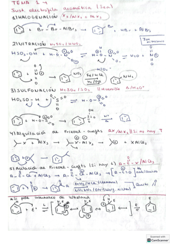 Miniatura del documento TEMA-1-Organica.pdf