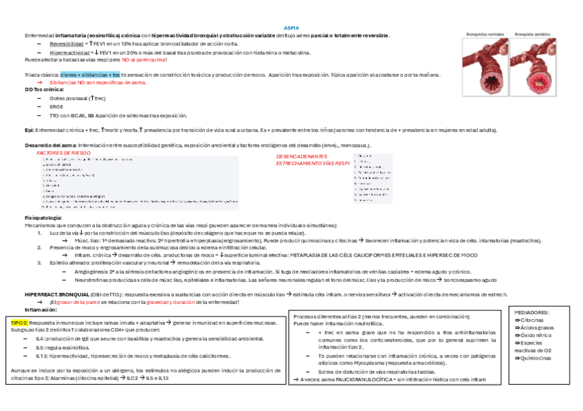 Miniatura del documento ASMA-corto.pdf