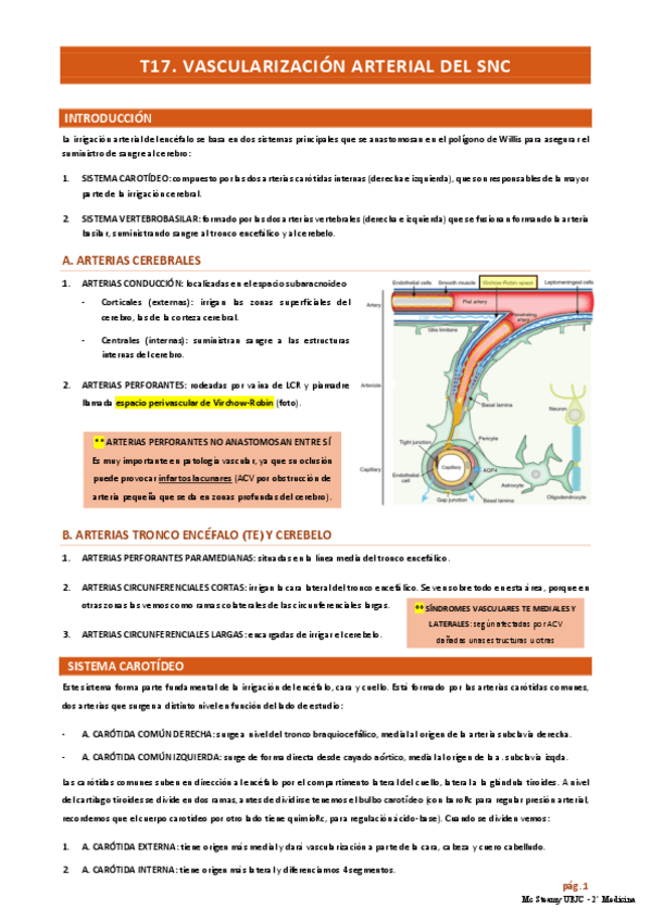 Miniatura del documento T17-Y-18.-Vascularizacion-SNC.pdf