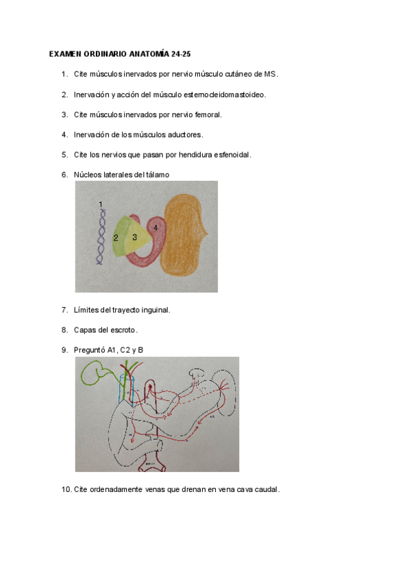 Miniatura del documento EXAMEN-RESUELTO-ANATOMIA-ORDINARIO-24-25.pdf