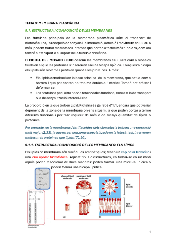 Miniatura del documento RESUMEN-SEGUNDO-PARCIAL-BIOCEL.pdf