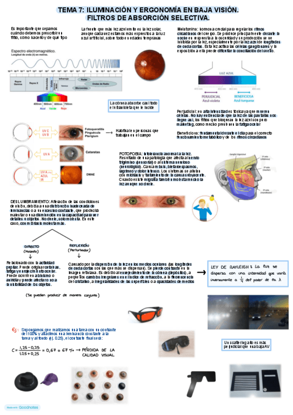 Miniatura del documento TEMAS-7-y-8.pdf