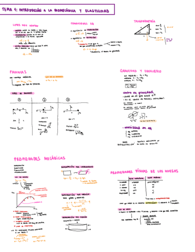 Miniatura del documento P1-Bf: biomec, circ i respi.pdf
