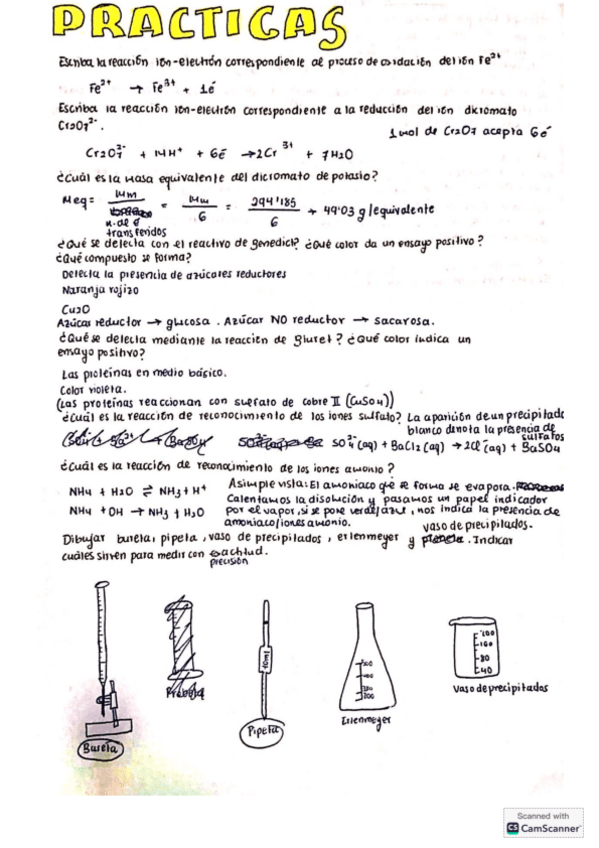 Miniatura del documento Preguntas-examen-practicas.pdf