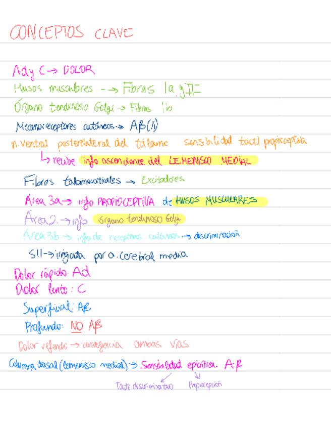 Miniatura del documento conceptos-clave-neurofisio.pdf